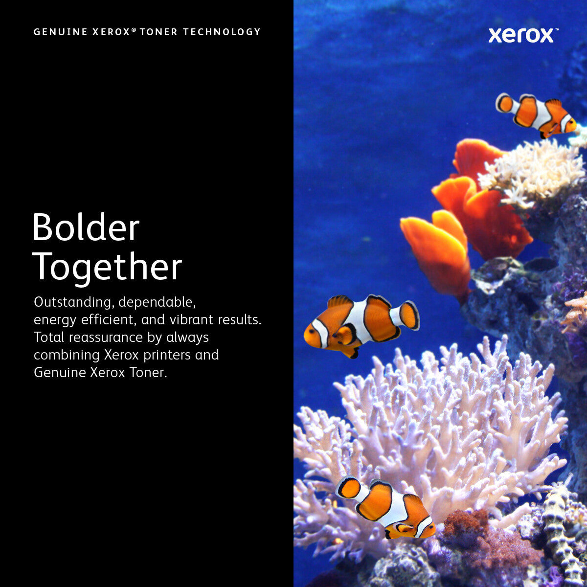 Xerox Genuine Phaser™ 6600, WorkCentre™ 6605 Cyan Toner Cartridge