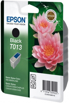 Epson Singlepack Black T013