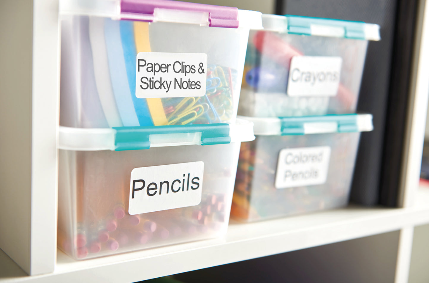 Dymo 99019 LabelWriter Lever Arch File Labels 190mm x 59mm S0722480