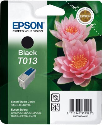 Epson Singlepack Black T013