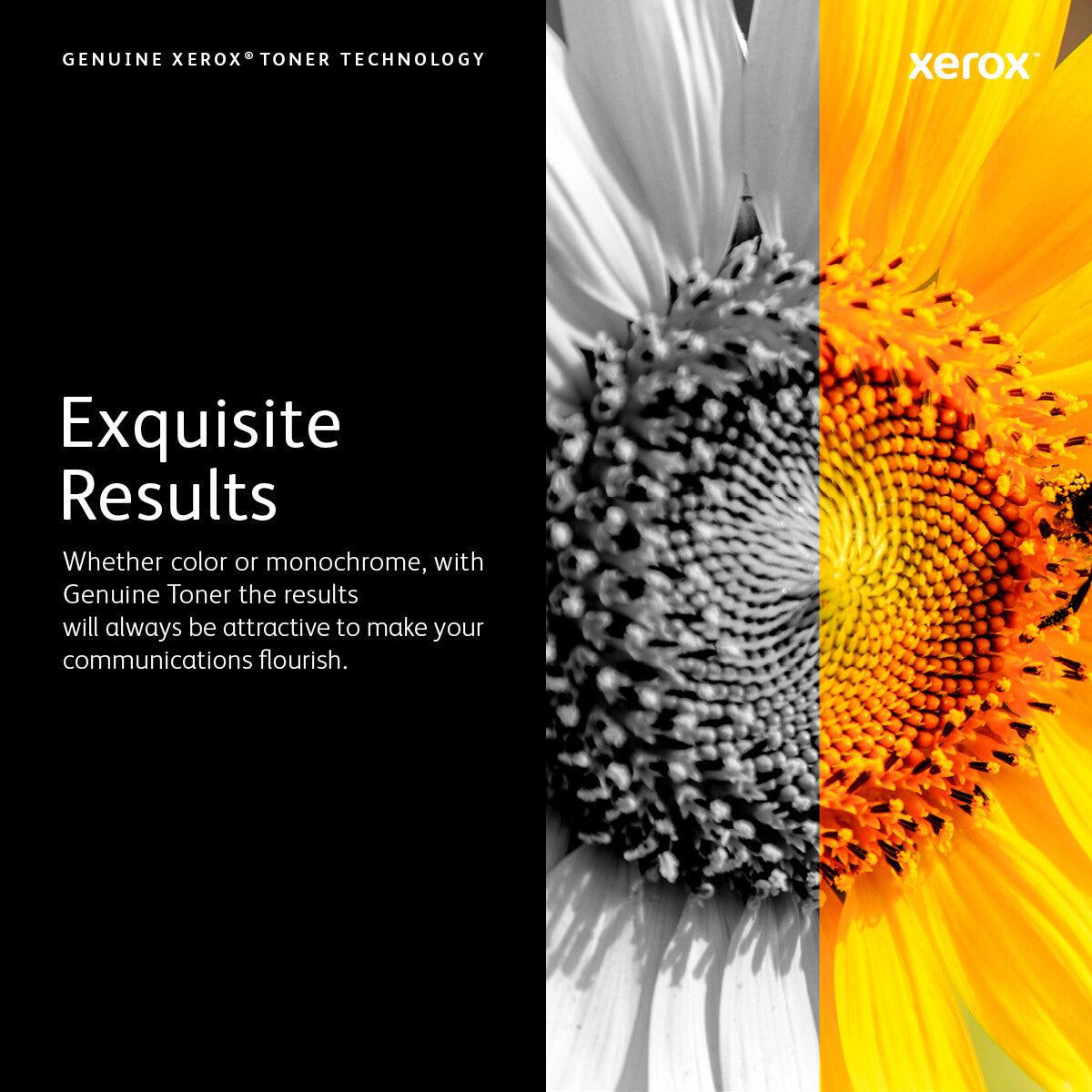 Xerox Genuine Phaser® 6020/6022, WorkCentre® 6025/6027 Magenta Standard capacity Toner Cartridge (1000 Pages) - 106R02757