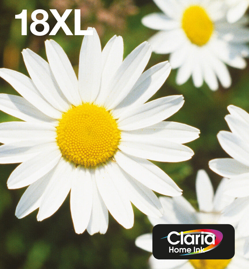 Epson Daisy Multipack 4-colours 18XL Claria Home Ink EasyMail
