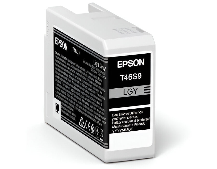 Epson UltraChrome Pro ink cartridge 1 pc(s) Original Light grey