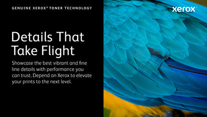 Xerox Genuine ® B305 Multifunction Printer/B310 Printer/B315 Multifunction Printer Black Standard capacity Toner Cartridge (3000 Pages) - 006R04376