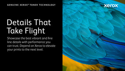 Xerox Genuine ® VersaLink® C500 Color Printer/C505 Color Multifunction Printer Magenta Standard capacity Toner Cartridge (2400 Pages) - 106R03860