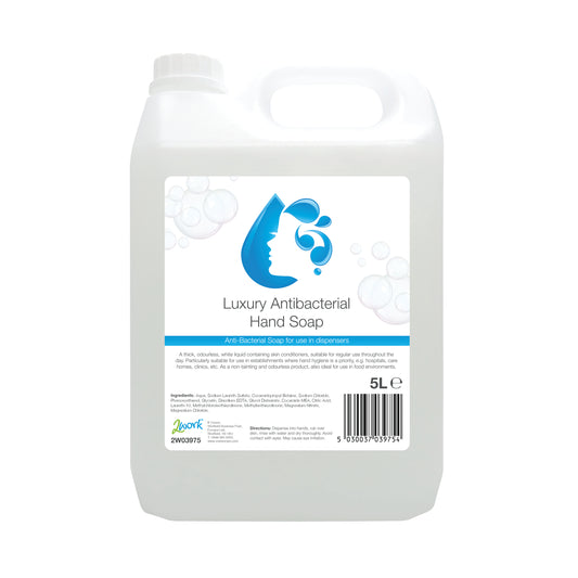 2Work Conditioning Antibacterial Handwash 5 Litre Bulk Bottle 2W03975