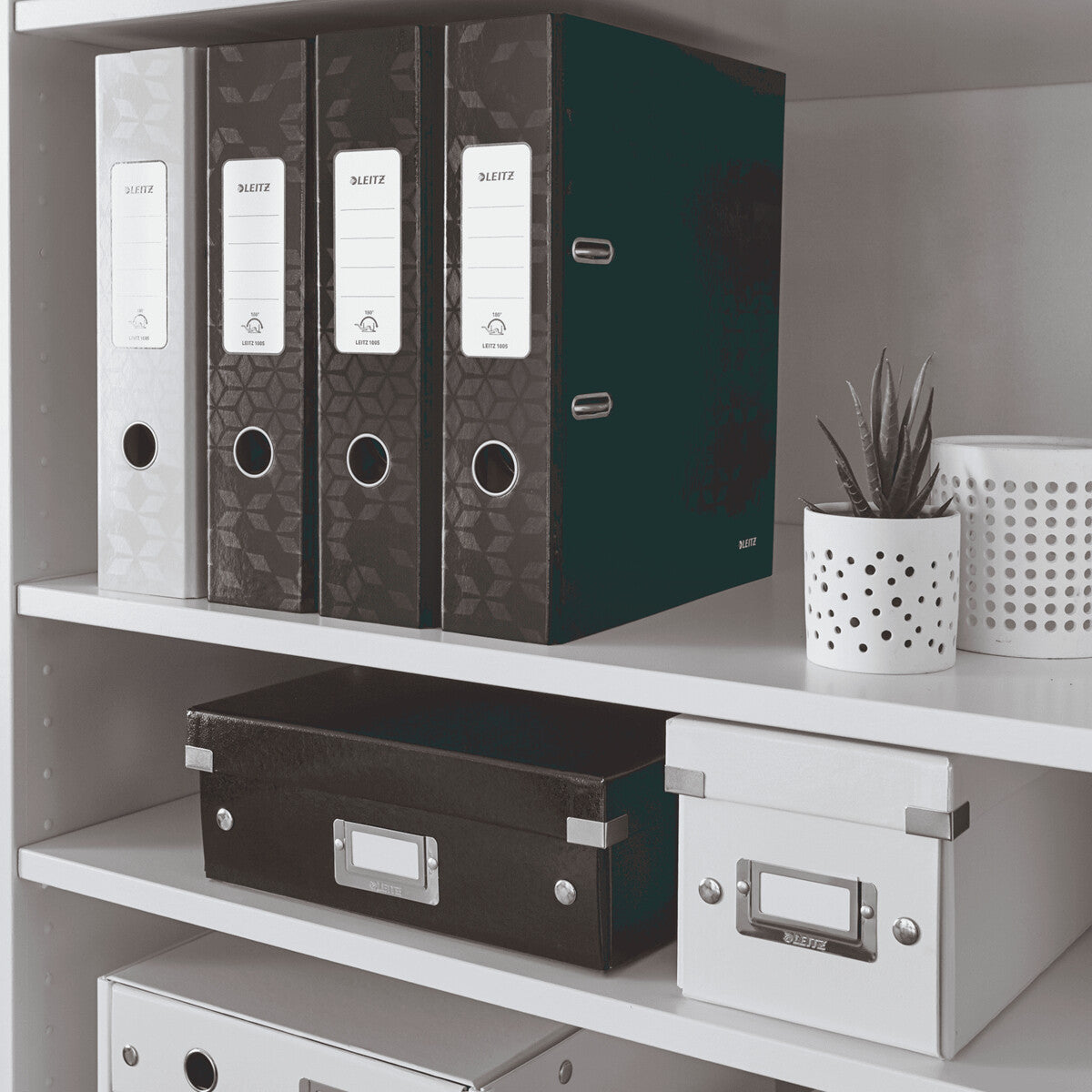 Leitz 10050095 ring binder A4 Black