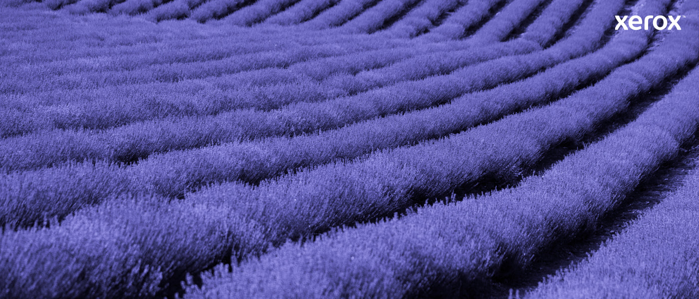 Xerox Genuine ® C230 Color Printer/C235 Color Multifunction Printer Cyan High capacity Toner Cartridge (2500 Pages) - 006R04392