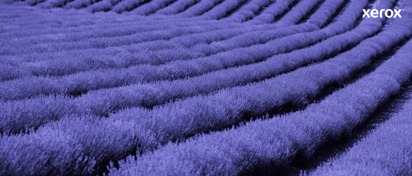 Xerox Genuine Phaser® 6510, WorkCentre® 6515 Cyan Standard capacity Toner Cartridge (1000 Pages) - 106R03473