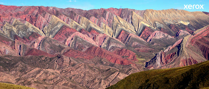 Xerox Genuine ® C230 Color Printer/C235 Color Multifunction Printer Yellow High capacity Toner Cartridge (2500 Pages) - 006R04394