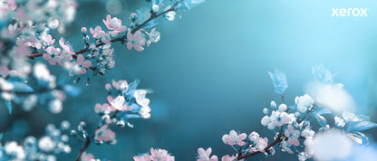 Xerox Genuine ® VersaLink® C8000W Color Printer White Standard capacity Toner Cartridge (5000 Pages) - 106R04646