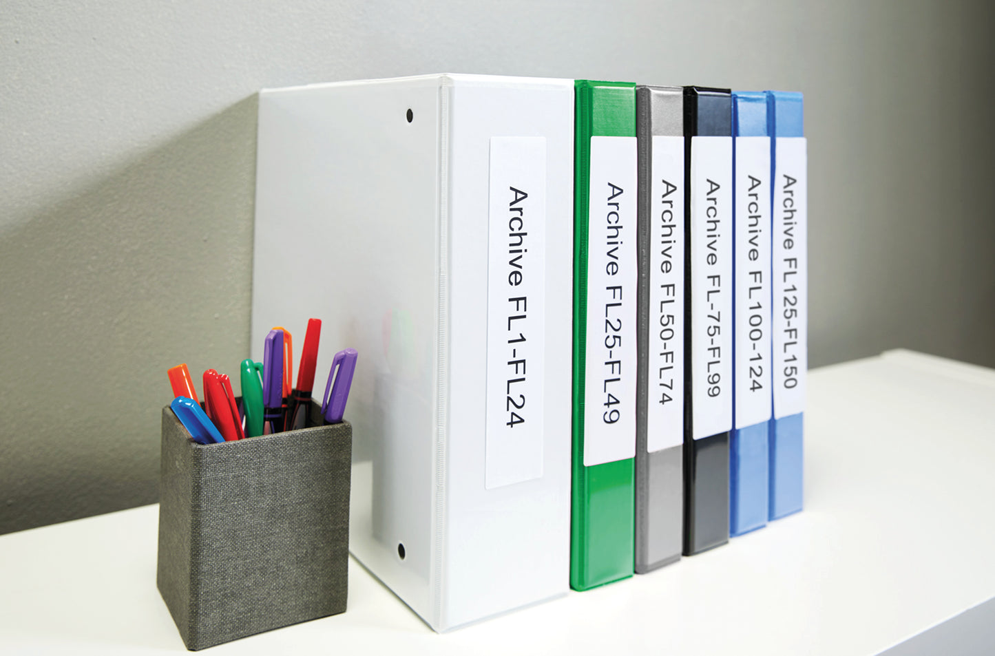 Dymo 99019 LabelWriter Lever Arch File Labels 190mm x 59mm S0722480