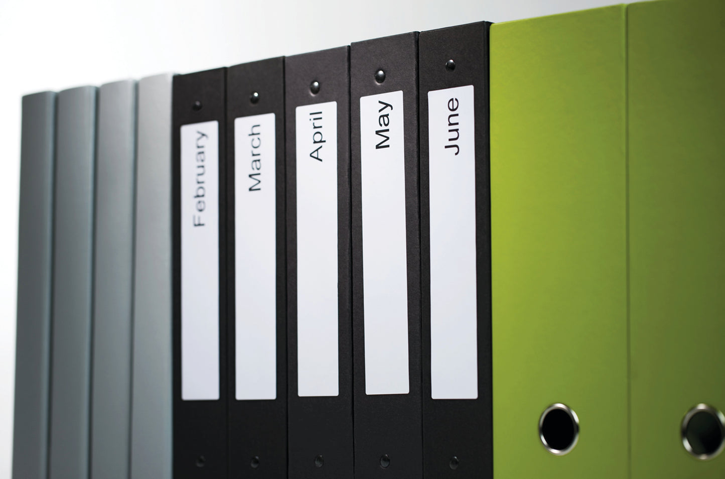 Dymo 99019 LabelWriter Lever Arch File Labels 190mm x 59mm S0722480