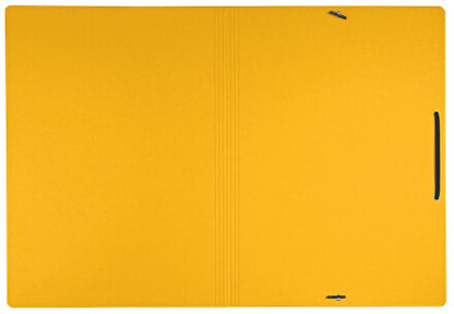 Leitz Recycle Card Folder with elastic bands