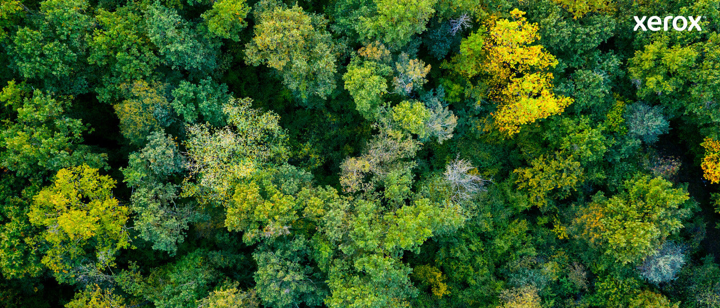 Xerox Genuine ® VersaLink® B600/B610 Printer/B605/B615 Multifunction Printer Black Extra High capacity Toner Cartridge (46700 Pages) - 106R03944