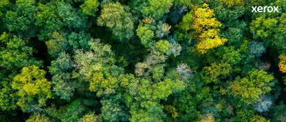 Xerox Genuine ® B305 Multifunction Printer/B310 Printer/B315 Multifunction Printer Black Extra High capacity Toner Cartridge (20000 Pages) - 006R04378