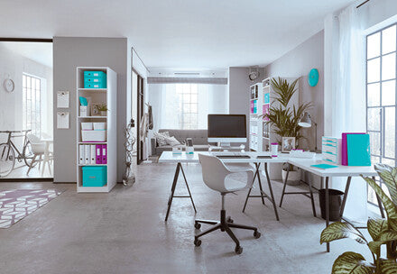 Leitz Magazine File WOW Dual Colour