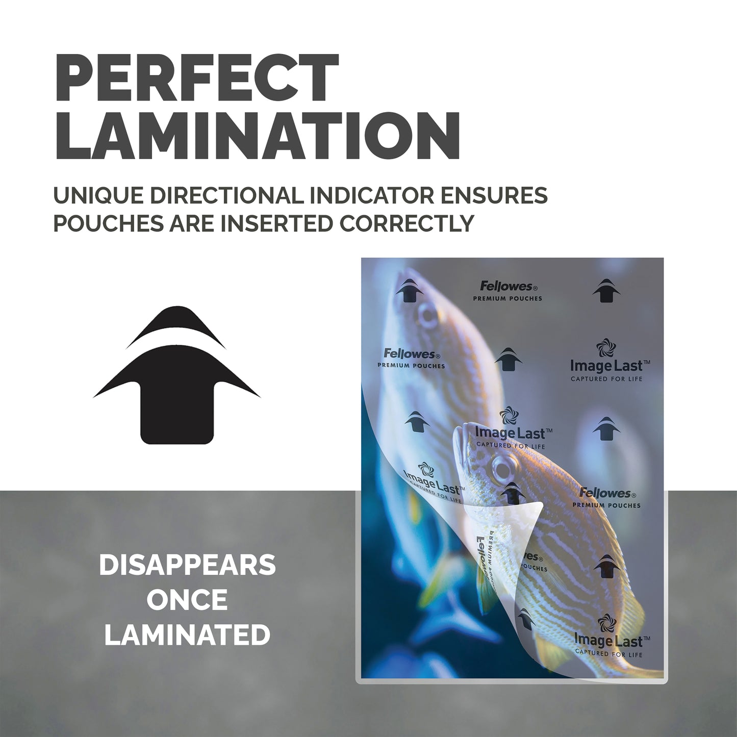 Fellowes ImageLast A5 Laminating Pouch 80 Micron Clear Gloss (Pack of 100) 5306002
