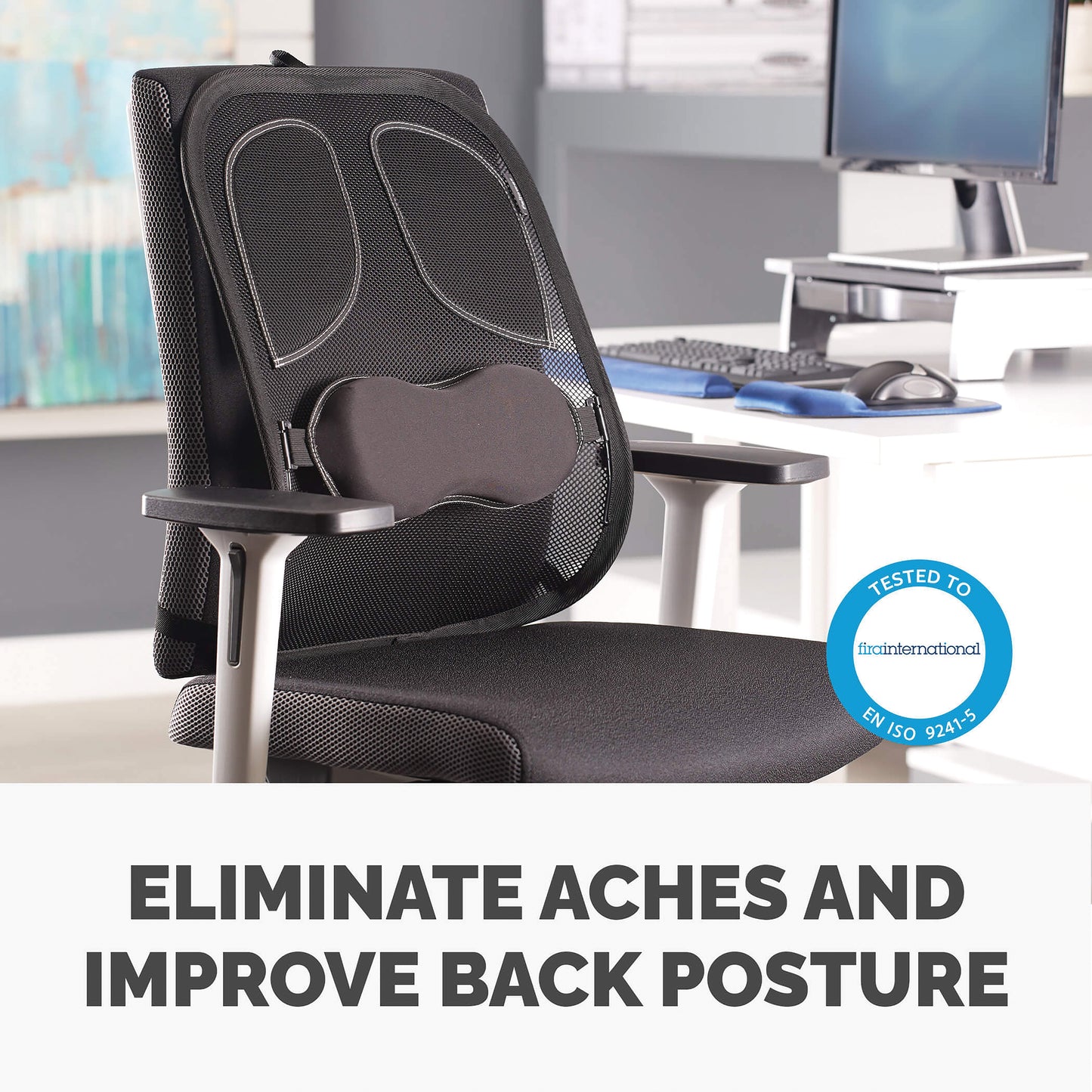 Fellowes Professional Series Mesh Back Support Black 8029901