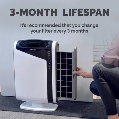 Fellowes DX95 Carbon Filter (Pack of 4) 9324201