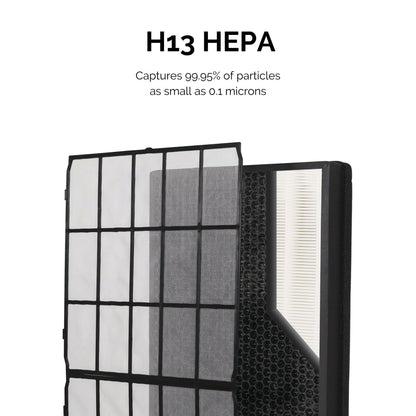 Fellowes AeraMax SV Combo Filter (Pack of 2) 9787902