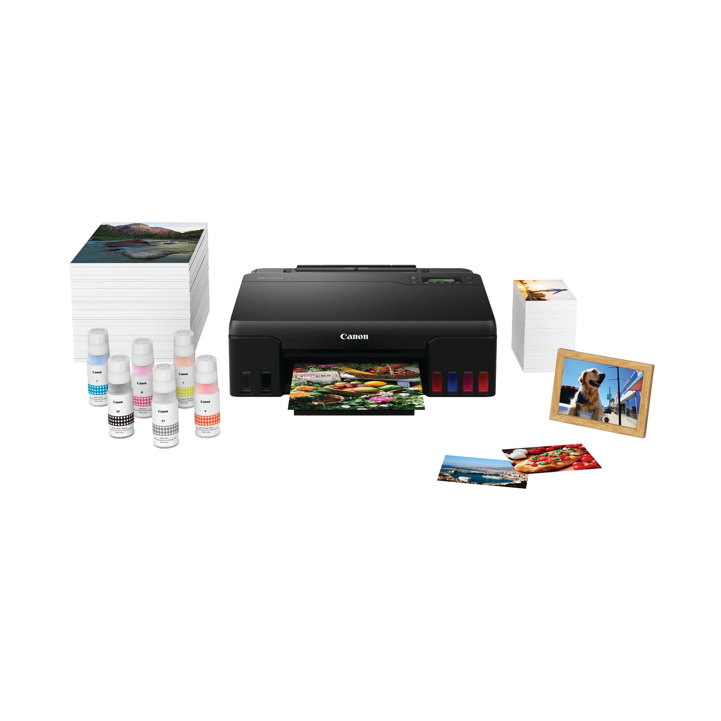 Canon Pixma G550 Single function Inkjet Printer 4621C008