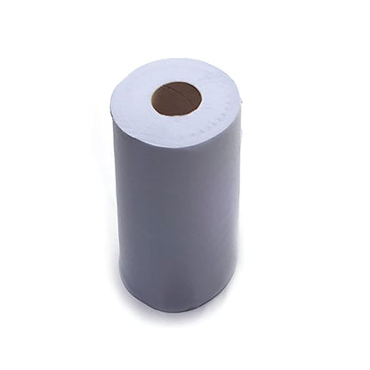 Lucart Hygiene Rolls 40m 111 Sheets Embossed Blue (Pack of 24) 870143