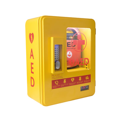 AED Alarmed Outdoor Wall Mountable Heated Metal Cabinet Yellow 2105