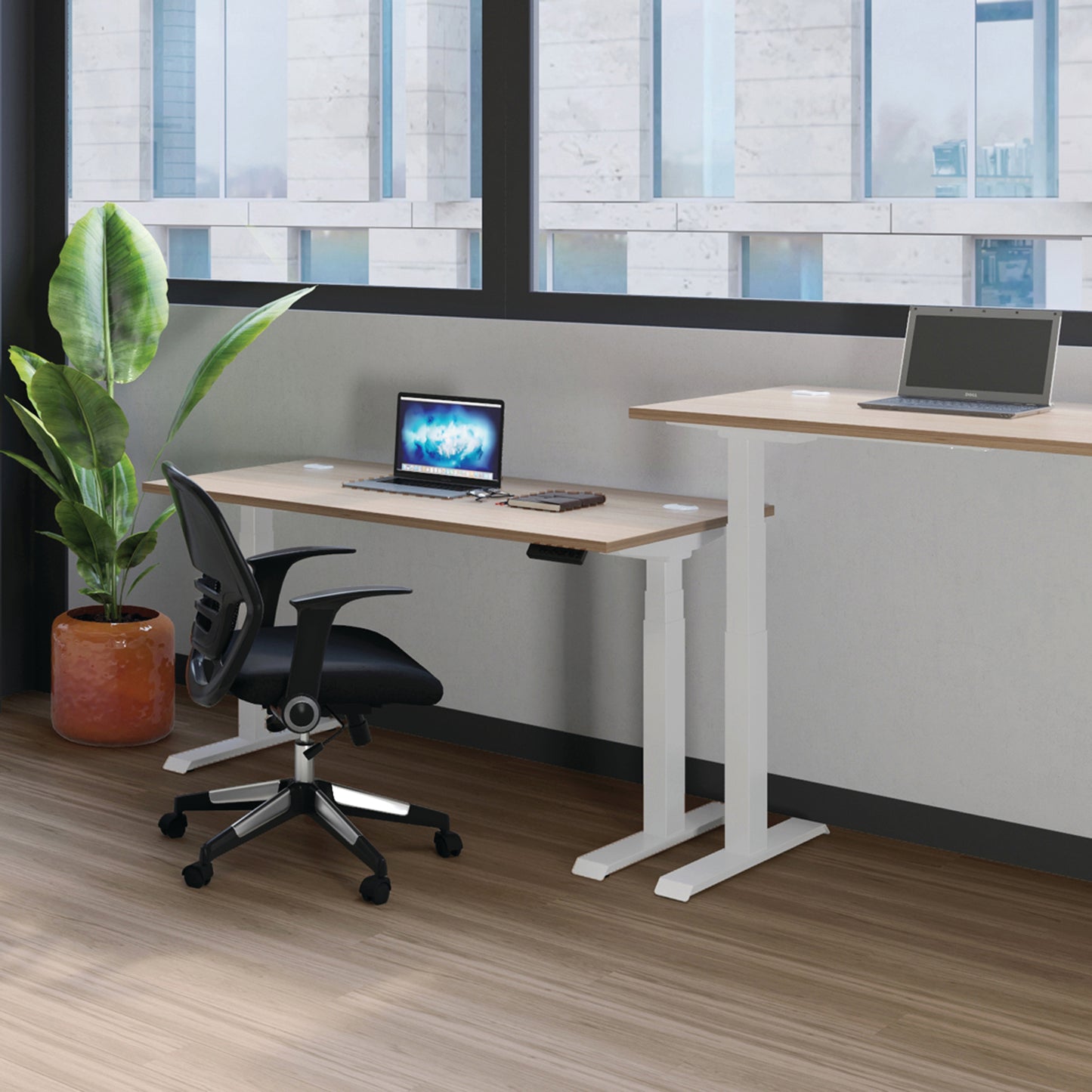Jemini Sit/Stand Desk with Cable Ports 1200x800x630-1290mm Maple/White KF809777
