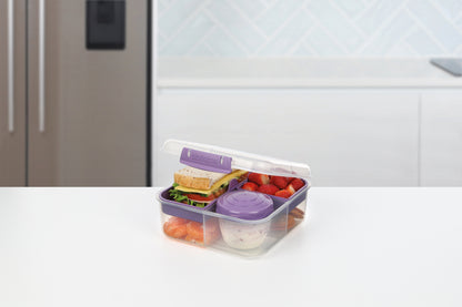Sistema Bento Cube to Go 1.25L 21685