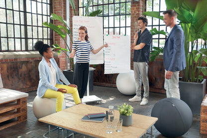 Nobo Move & Meet Mobile Magnetic Flipchart Easel 680x1040mm