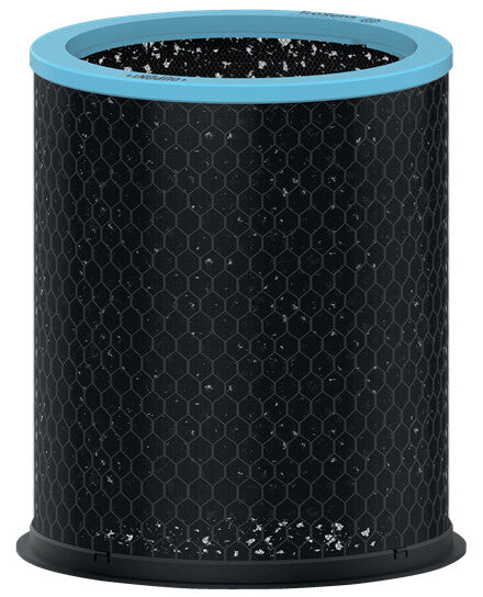 Leitz Replacement Carbon filter for TruSens Z-3000 / Z-3500 Large Allergy and Flu Filter, 1 Pack