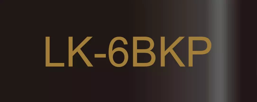 EPSON LK-6BKP METALLIC TAPE BLACK/GOLD 24MM (9M)