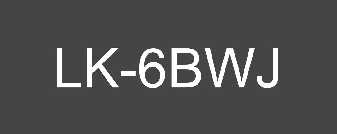 EPSON LK-6BWJ MATTE TAPE BLACK/WHITE 24MM (8M)