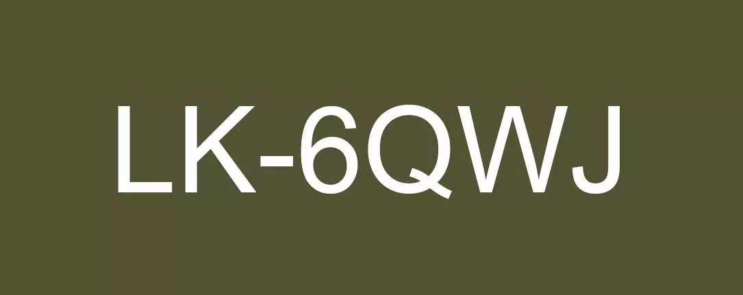 EPSON LK-6QWJ MATTE TAPE KHAKI/WHITE 24MM (8M)