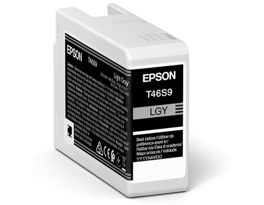 Epson UltraChrome Pro ink cartridge 1 pc(s) Original Light grey