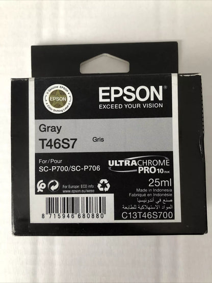Epson UltraChrome Pro ink cartridge 1 pc(s) Original Grey