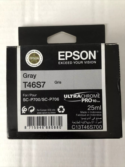 Epson UltraChrome Pro ink cartridge 1 pc(s) Original Grey