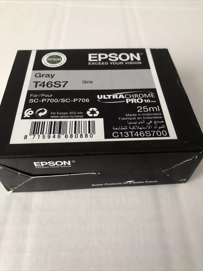 Epson UltraChrome Pro ink cartridge 1 pc(s) Original Grey
